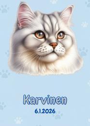 R&auml;&auml;t&auml;l&ouml;it&auml;v&auml; Chinchilla-persialainen juliste