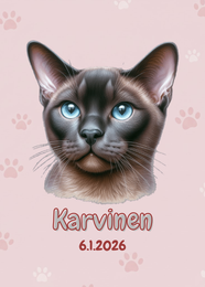 R&auml;&auml;t&auml;l&ouml;it&auml;v&auml; Burmakissa juliste