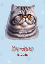 R&auml;&auml;t&auml;l&ouml;it&auml;v&auml; Exotic, persialainen kissa juliste