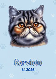 R&auml;&auml;t&auml;l&ouml;it&auml;v&auml; Exotic, persialainen kissa juliste 2