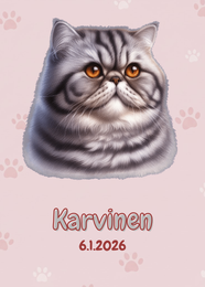 R&auml;&auml;t&auml;l&ouml;it&auml;v&auml; Exotic, persialainen kissa juliste