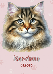 R&auml;&auml;t&auml;l&ouml;it&auml;v&auml; Maine Coon kissa-juliste