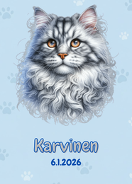 R&auml;&auml;t&auml;l&ouml;it&auml;v&auml; Maine coon kissa-juliste