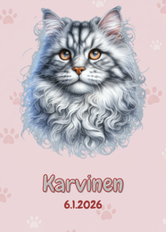 R&auml;&auml;t&auml;l&ouml;it&auml;v&auml; Maine coon kissa-juliste