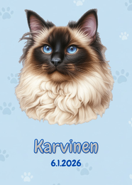 R&auml;&auml;t&auml;l&ouml;it&auml;v&auml; Pyh&auml; birma juliste