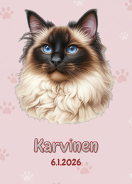 R&auml;&auml;t&auml;l&ouml;it&auml;v&auml; Pyh&auml; birma juliste