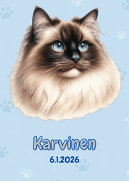 R&auml;&auml;t&auml;l&ouml;it&auml;v&auml; Ragdoll juliste