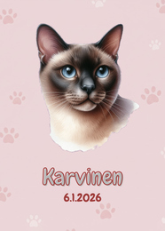 R&auml;&auml;t&auml;l&ouml;it&auml;v&auml; Tonkiinilainen juliste