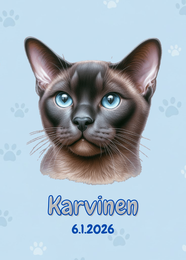 R&auml;&auml;t&auml;l&ouml;it&auml;v&auml; Burmakissa juliste