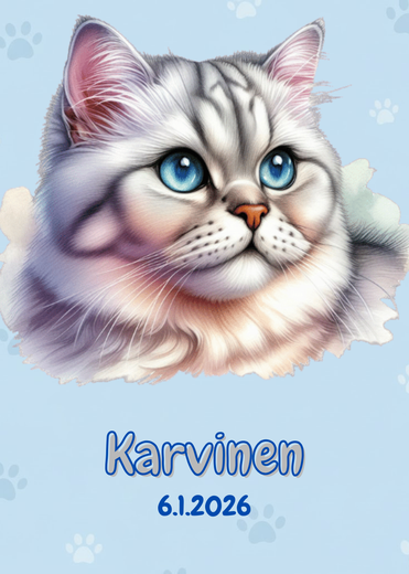 R&auml;&auml;t&auml;l&ouml;it&auml;v&auml; Burmilla juliste