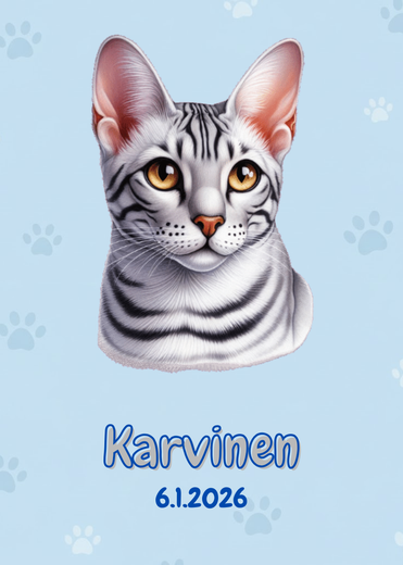 R&auml;&auml;t&auml;l&ouml;it&auml;v&auml; Ocicat (hopea) juliste