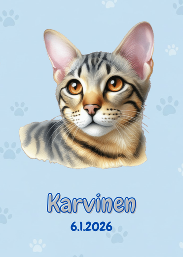 R&auml;&auml;t&auml;l&ouml;it&auml;v&auml; Ocicat juliste