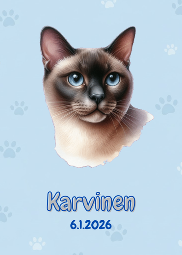 R&auml;&auml;t&auml;l&ouml;it&auml;v&auml; Tonkiinilainen juliste